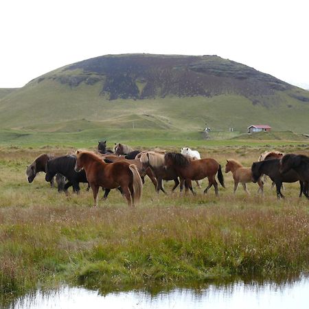 Guesthouse Vellir Вик Экстерьер фото