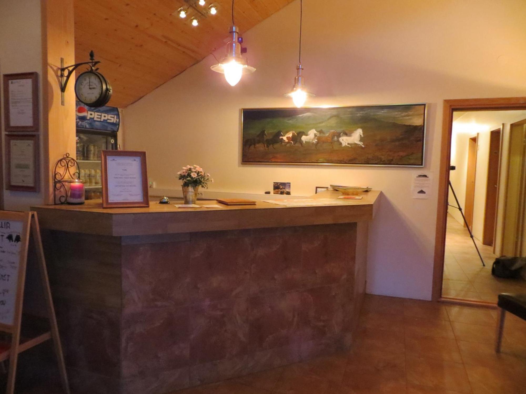 Guesthouse Vellir Вик Экстерьер фото